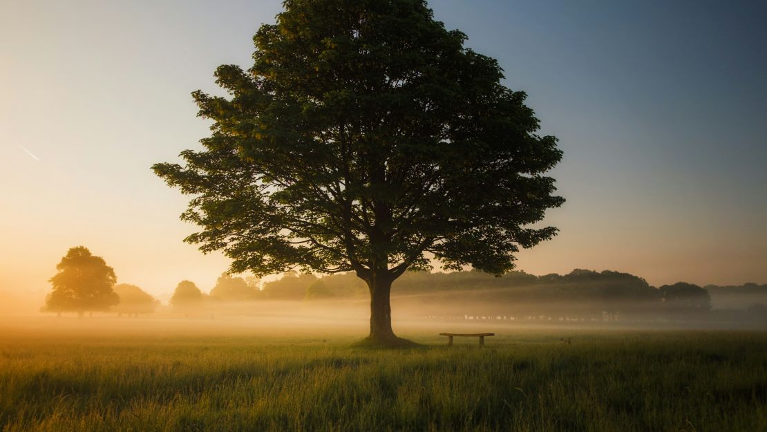 Respira per Guarire: Soluzioni Naturali per Stress, Cuore e Memoria