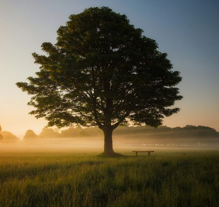 Respira per Guarire: Soluzioni Naturali per Stress, Cuore e Memoria